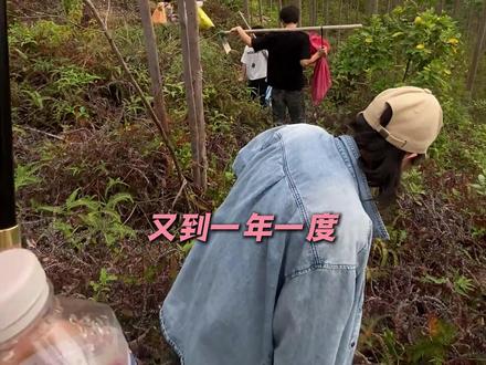 华南f3:老祖宗今年还是我嘿嘿#华南f3 #祭祖 #清明 #文化