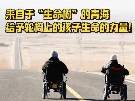 当“生命树”遇到了“生命之树”下轮椅上的“天使”们! #青海美好推荐官 #生命树 #徐州tom #圆梦青海行 #时常被生命树感动