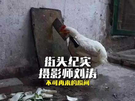 街头纪实摄影师刘涛 #街拍 #扫街摄影 #人文纪实摄影 #婚礼跟拍 #人像摄影