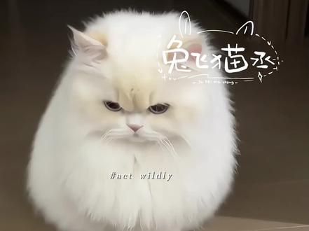 又怎么了我的大小姐#撒野#顾飞#蒋丞
字素是自己约的