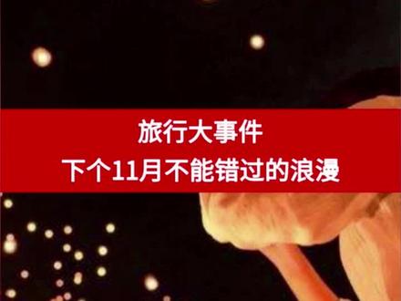 不如你们约定以后每一个11月!愿你和你的Ta 深情久伴!