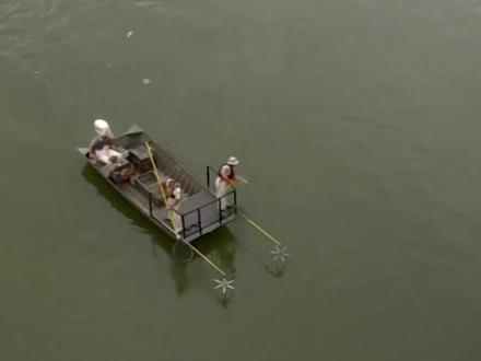 美国渔民电鱼,鲤鱼瞬间爆桶,为啥国内禁止电鱼? #知识前沿派对 #科学#科普#知识#电鱼