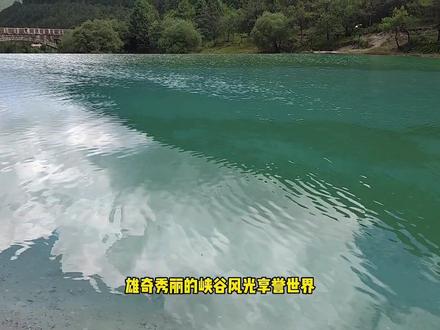 蓝月谷是玉龙雪山景区里面拍照最好看的地方,你们有打卡过么?#全能导游 #蓝月谷 #玉龙雪山 #丽江