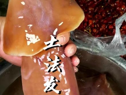 买点干鱿鱼自己在家发制经过陈化的干鱿鱼不管是煲汤还是炒菜那味道绝对是鲜鱿鱼不能比的#鱿鱼 #水发鱿鱼 #乡村味道 #美食 #真材实料才能做出好味道