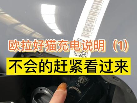 不会还有人不知道怎么给自己的猫充电吧!!!🤭#女神就要这样追 #每天一个用车知识 #充电桩 #欧拉好猫 @欧拉ORA