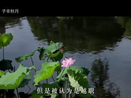 被称为“诗魔”的我用了一生,才明白开心最重要#白居易