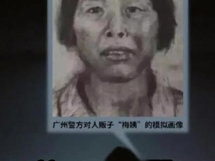 梅姨落网#热点 #热点新闻事件