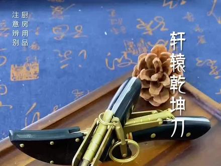 轩辕乾坤刀,厨房用品,注意辨别 #水果刀 #吃肉刀 #高性能实用工具 #手把肉刀