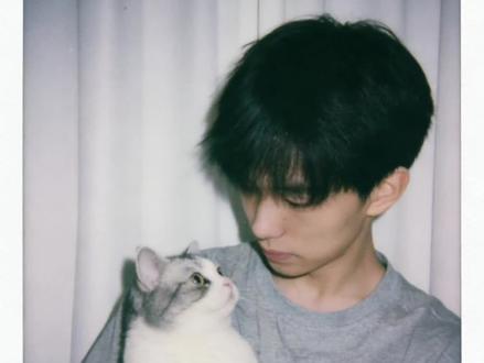 好有爱好喜欢,和猫咪相拥合照ai指令教程来啦! #豆包 #豆包ai #豆包P图已经nextlevel了 #和宠物合照 #和宠物合照指令 和猫咪合照 和自家萌宠合照