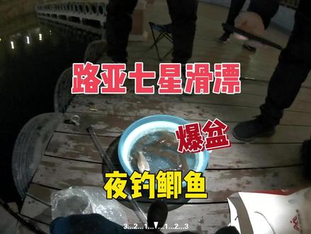 用七星滑漂路亚钓鲫鱼 #路亚 #路亚野钓 #路亚钓鱼 #路亚鲫鱼 #路亚七星滑漂