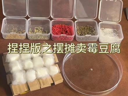 捏捏版霉豆腐!哈哈哈终于到我演啦#捏捏 #捏捏乐 #捏捏乐解压 #手作diy #手工霉豆腐