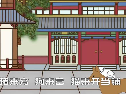 “猪来穷,狗来富,猫来开当铺”,养猫好还是养狗好?老话太在理