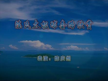 陈庆州太极拳 太极球 陈氏太极拳 #陈庆州太极拳 #太极球 #陈庆州太极球 #陈氏太极拳