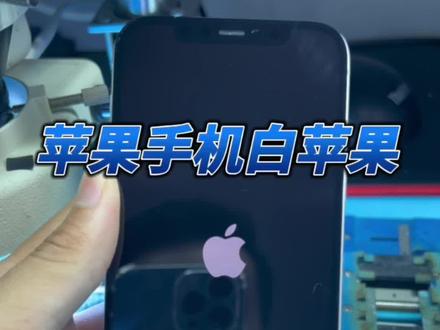 苹果12反复重启不进系统刷机报错2009 4013 4014排除外配基本都是硬盘坏了。#手机维修 #技术分享 #数码科技 #湖州手机维修