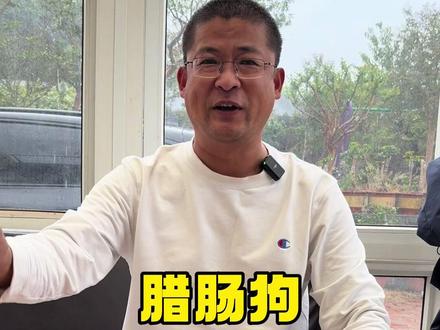 腊肠这个狗有什么优缺点#腊肠狗 #养狗的技巧