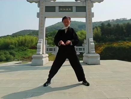 道爷羽化之后,你练的八部金刚功,有可能就是修改版 #热门 #八部金刚功 #张至顺道长