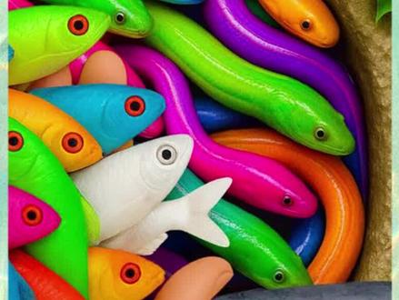 今天跟我一起抓宠物,看看有什么发现#剧情演绎 #亲子互动 #小学生 #野生动物零距离