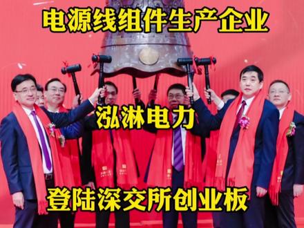 电源线组件企业泓淋电力登陆深交所创业板 #财经 #上市公司