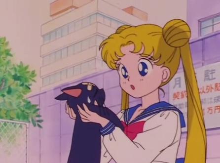 美少女战士初见露娜#美少女战士 #怀旧动画 #动漫推荐