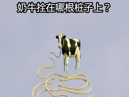 奶牛拴在哪个根木桩上?#眼力测试