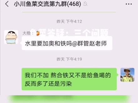 #鱼菜共生#答疑:1.加不加螯合铁?2.高密度养鱼水色发黄什么原因?3.芹菜焉了要补肥吗?