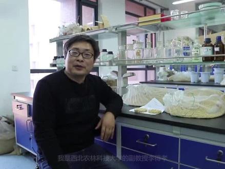 转基因大豆安全吗?我们有没有在吃?#农业 #三农 #科普 #人文 #知识分享 #大豆 @DOU+小助手 @抖音小助手