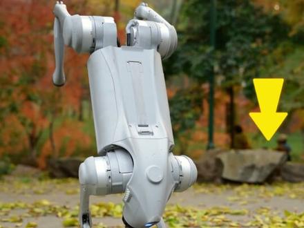 解锁智能生活新伙伴:会送货、会跟随、还会跳舞的宇树机器狗! #宇树#unitree#宇树机器狗#机器狗#宇树机器人