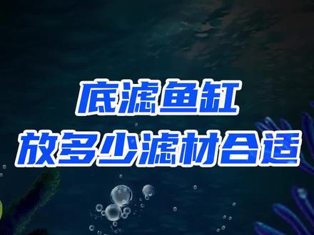 鱼缸放多少滤材合适呢?切记最后的重点!!!#水族 #龙鱼 #空气缸 #观赏鱼 #滤材