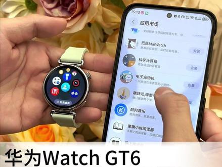 GT6这些APP知道在哪里下载吗?#华为GT6 #华为手表 #HarmonyOS6 #鸿蒙越用越香