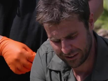 认真听,被食鸟狼蛛撕咬的声音是怎样的!! #胆小慎入 #动物科普知识 #科普知识