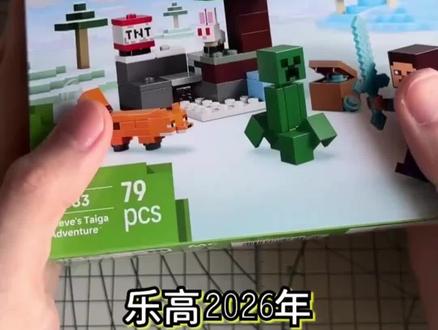 孩子一坐下来就停不下来的拼搭乐趣! 孩子喜欢玩我的世界游戏?这款玩具能让孩子体验到更多乐趣!#礼物 #我的世界 #益智玩具 #乐高 #第一视角探秘童年