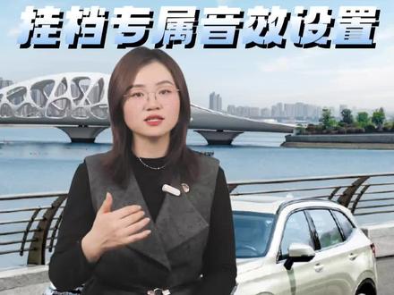 哈弗大狗PLUS车主看过来!是不是超羡慕别人挂挡有专属音效!跟着我操作,你也可以!#专属音效 #哈弗大狗