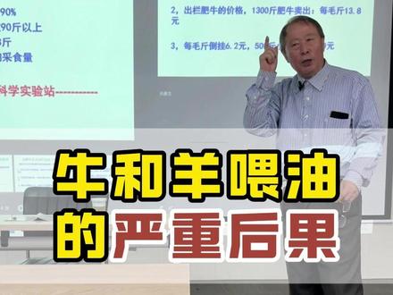 无论牛还是羊,长期喂油都是不可取的!只能是短期行为,长期喂是有害的!#科学养牛 #养牛技术 #老韩博士 #纽卡美浓缩料 @抖音创作小助手 @抖音创作者大会 @抖音创作灵感