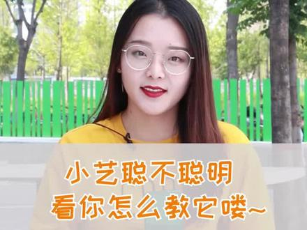 小艺聪不聪明,看你怎么教它喽~#华为nova5 #轻知识计划 @抖音科技