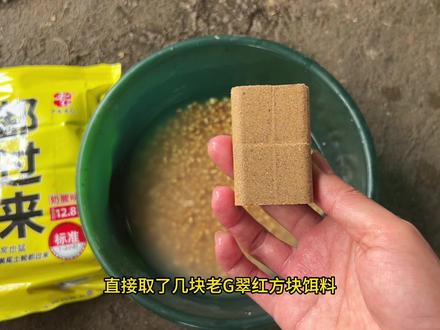 自制臭小麦粒钓鱼,水下高清实测#钓鱼 #钓草鱼 #钓大鱼 #爆护饵料 #老G翠红