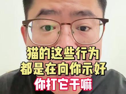 猫的这些行为都是在向你示好,你打它干嘛 #养宠进阶指南 #养猫新手 #养猫的乐趣 #科学养宠攻略 #猫行为学