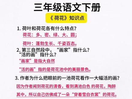 三年级语文下册《荷花》知识点#知识点总结 #三下语文