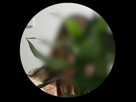 #投顾骗局#荐股#炒股