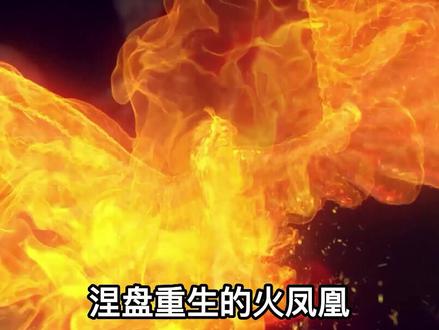 凤凰涅槃还真的存在#未解之谜 #世界未解之谜