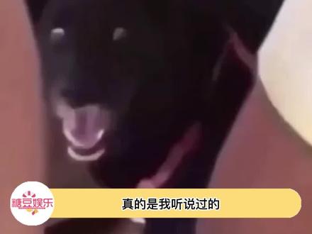 没有亲身经历也能体会到有多无语!!无语!!