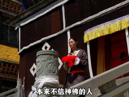 不是刻意奔赴,而是命运指引重逢。李微漪为格林落发祈福,格林为她放下野性,这份感情超越了物种! #格林 #李微漪 #人物故事 #重返狼群 #万物皆有灵性