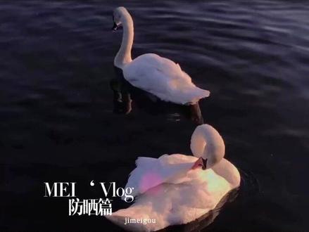 芳珂fancl防嗮霜SPF50+防紫外线倍护隔离乳#夏日防晒#物理防嗮霜