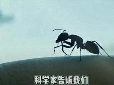 蚂蚁能看见我们人类吗? 俗语云,"人在做,天在看"," 举头三尺有神明"。
经数次科学实验证明,"多维度空间或多维度视觉生物"是存在的…。
在多维度空间里,低维度的视觉生物是看不到高维度视觉生物的。就像蚂蚁看不到我们人类一样,因为蚂蚁只是二维视觉生物,它看到的只是一个平面,而看不到我们人类。而我们人类是三维视觉生物,看到的是一个立体,即三维空间。又,因为我们人类"只是三维视觉生物", 看到的只是三维空间,而看不到四维空间以上的生物"。
由此可以得出结论,在我们的周围,一定会有更高维度的生物(即四维以上的生物),在我们的周围,看着我们,只是我们看不到他们…。