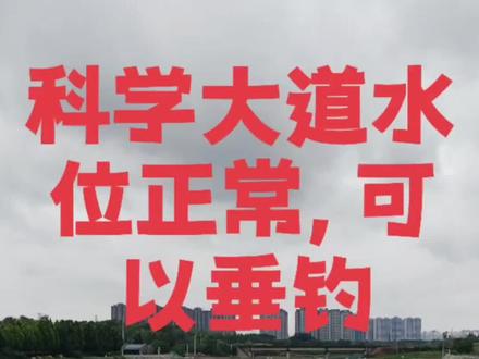 5月25日贾鲁河西三环段钓点实况:科学大道水浑走水慢,农业路桥退水1.5米仍可作钓
【科学大道段:水位平稳,水色偏浑】
水位情况: 目前水位处于正常状态,既没有暴涨也没有明显回落。
水情细节: 水色稍微有些浑浊(浑水其实利于大鱼靠边),水流速度缓慢,几乎不怎么走水,非常适合观察浮漂信号。
现场动态: 岸边已经有不少钓友开下竿作钓了,人气渐旺。
作钓建议: 这种浑水且缓流的环境,适合使用腥味稍重的饵料,或者蚯蚓等活饵,利用味道诱鱼。
【农业路桥段:水位下降,露出河床】
水位情况: 相比之前,水位下降了大约1.5米,变化比较明显。
水情细节: 虽然退水了,但目前的水深依然足够正常作钓。
作钓建议: 退水后鱼群可能会向深水区或主河道中心移动,建议钓友适当加长钓竿,或者寻找原来的深坑位置下竿。
总结: 两个钓点今天都可以去,科学大道适合喜欢守钓的朋友,农业路桥虽然退水但依然有鱼可钓,大家可以根据自己的习惯选择#贾鲁河钓鱼#买大疆找飞米#贾鲁河钓鱼