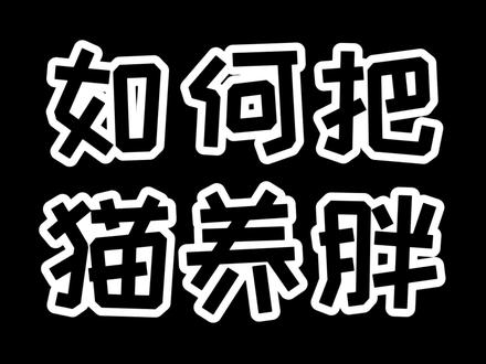#喵君 哎呀大傻,想让猫胖啊,我教你啊,很简单的!