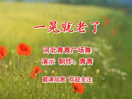 火爆DJ广场舞《一晃就老了》唱出心声,16步附分解