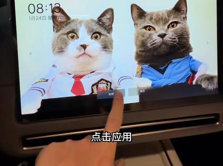 理想OTA 8.2|可以把哈基米设为屏保了
#理想汽车 #理想OTA #理想生活进行时 #把爱装进车里