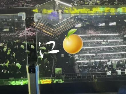 第三次见你 就能见证你一个荣誉的诞生 海口的夜好幸福🥹#白鹿