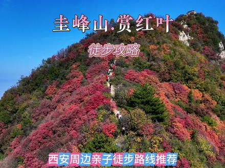 西安周边亲子游赏秋路线推荐-圭峰山.赏红叶 目前圭峰山红叶已到最佳观赏期,记录秋冬的颜色,这个周末带娃出发吧!这个秋天你会去哪里?
🌈登山路线(周末人多,一定要早点出发!)
🚕导航定位:圭峰山或圭峰小居,距离西安40公里,开车1小时;
🧗登山用时:往返7公里,上山3小时,下山1.5小时,共计4.5小时(不含吃饭打卡拍照时间);曹家岭农家可以休息野餐!
🅿️停车费用:车停停车场,停车费15元(摩托车5元)/辆;
🥋登山装备:吃的喝的,曹家岭农家处有补给点,可以进行选择!登山杖,登山鞋,速干衣,抓绒衣;
🌲保护秦岭:保护秦岭人人有责,垃圾随手带下山!
#圭峰山 #红叶 #西安周边亲子游 #西安赏秋好去处 #就来这里告别秋天 @DOU+上热门 @抖音小助手