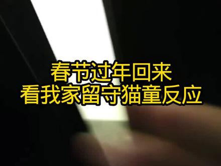 #留守猫 #春节宠物 #第一批等到主人的留守猫 #治愈猫咪 春节假期结束,看看我家5个月猫童橘子的反应。开门那一刻,心都要化了,橘子听到声音飞奔出来迎接,平时高冷范两三天都听不到叫声,今天一边蹭腿一直喵喵叫,转一圈接着叫,这是有多少委屈要说:你们终于回来了!你们去哪了?以为你们不要我了?安慰好久橘子才平静下来,委屈巴巴跳到腿上,瞬间红了眼眶,这一刻,觉得所有的牵挂都值得。